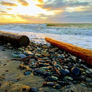 Meet your Posher, Janet